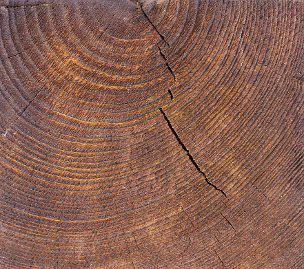 Natural wood grain texture, brown with cracks.