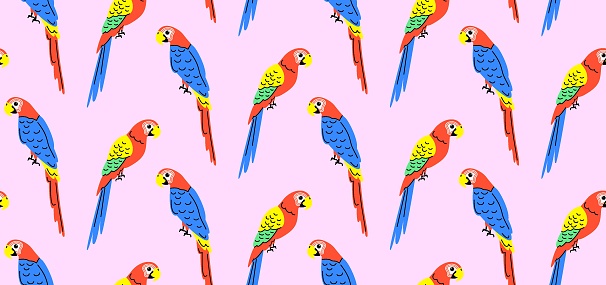 Colorful pattern with parrots in flat style. Vector seamless background with cute parrot characters.