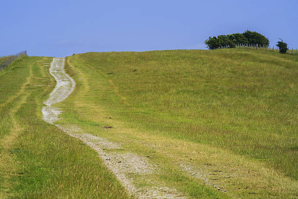 남왕 downs - dirt road national park south downs footpath 뉴스 사진 이미지