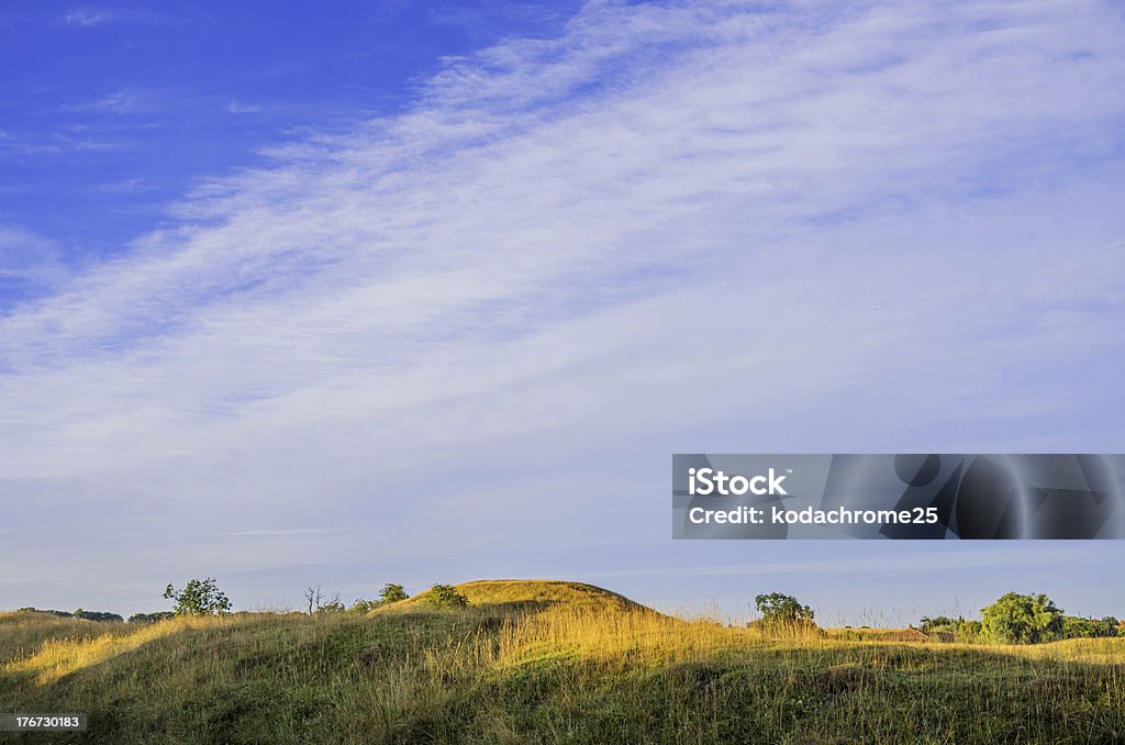 motte - Foto de stock de Agricultura royalty-free