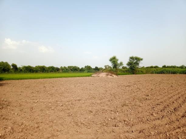 istock Plowed Field In Spring - stock photo 1767315929