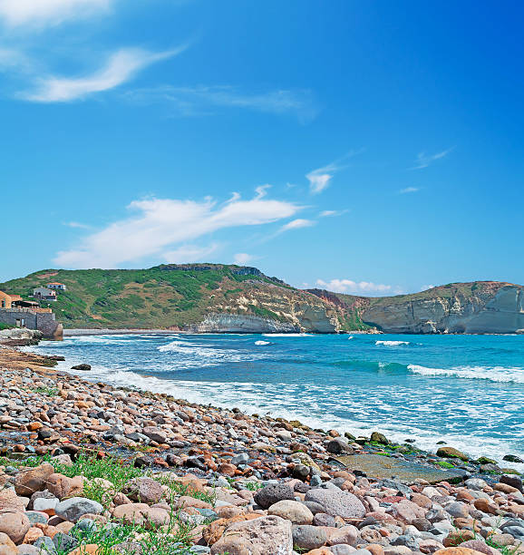 istock rocks by the sea 176732270