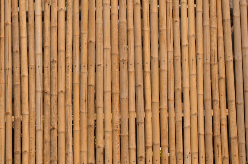 bamboo pattern