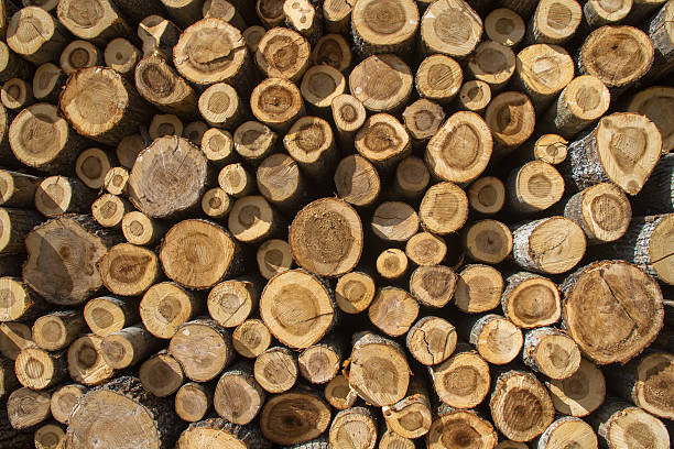 stapel sawn tree trunk-apilamiento de troncos aserrados - apilados stock-fotos und bilder