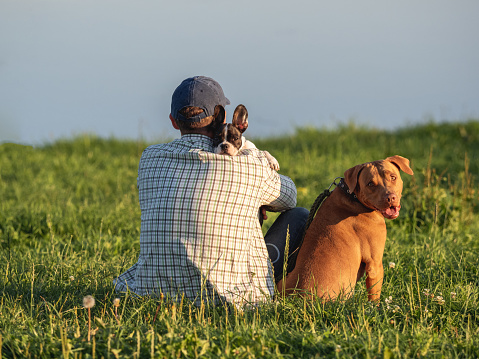 Charming dog, cute little puppy and attractive man sitting in a meadow on a clear sunny day. Closeup, outdoors. View from the back. Day light. Concept of care, training and raising pets