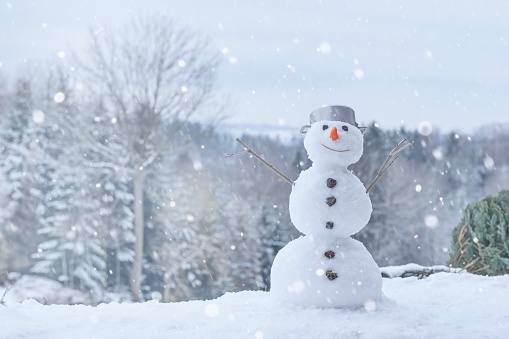 Lovely smiling snowman in the winter landscape.