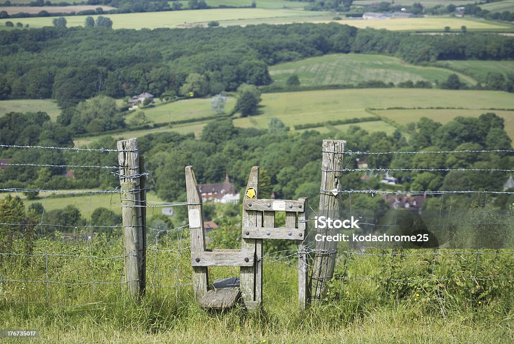 south downs view from the south downs way footpath, sussex, england uk Accessibility Stock Photo