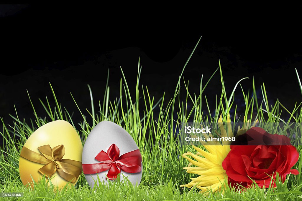 easter background Animal Egg Stock Photo