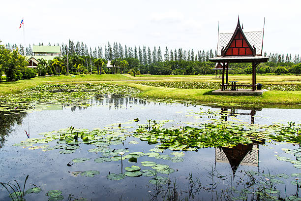 istock Thailand pavilion beside a lotus pond 176735203