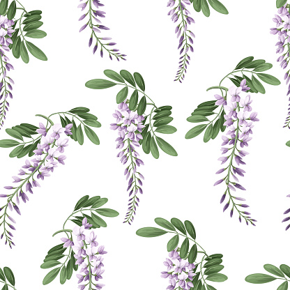 Seamless pattern with acacia flowers and leaves. Vector