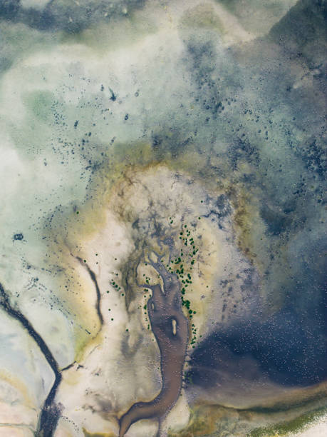 istock Natural shapes and textures on lake 1767371741