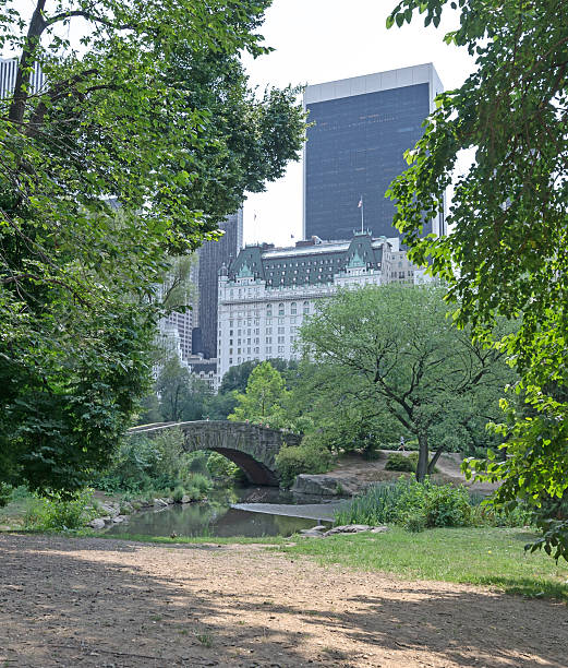 istock Central Park of New York 176737424