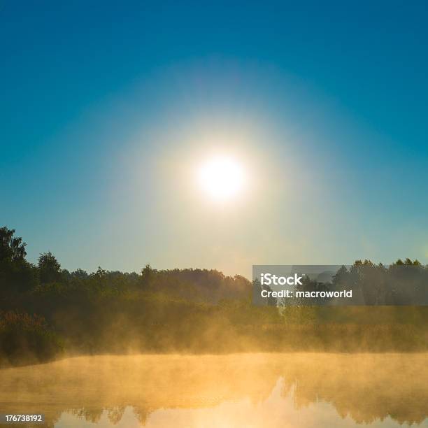 Alba E Nebbia Sul Laghettoxxxl - Fotografie stock e altre immagini di Acqua - Acqua, Alba - Crepuscolo, Albero