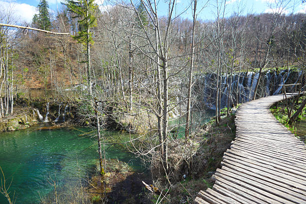 parco nazionale plitvice - plitvice lakes national park water lake national park foto e immagini stock