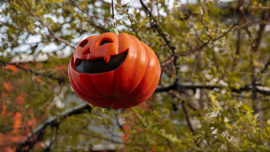 Pumpkinhead jack o lantern hanging from treetop in residential area as halloween decoration.