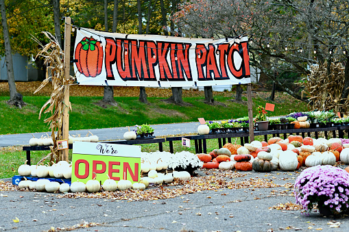 Fairfax, Virginia, USA - October 29, 2023: A roadside “Pumpkin Patch” stand selling pumpkins, gourds and autumn flowers awaits customers on a Fall afternoon.