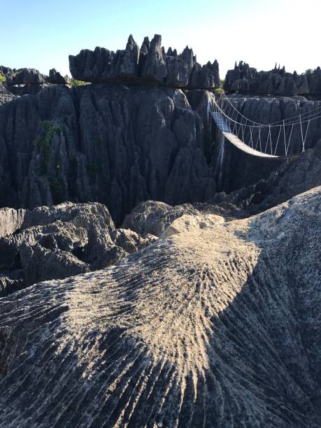 istock Madagascar Tsingy de Bemaraha rocks in nature reserve. 1767431305