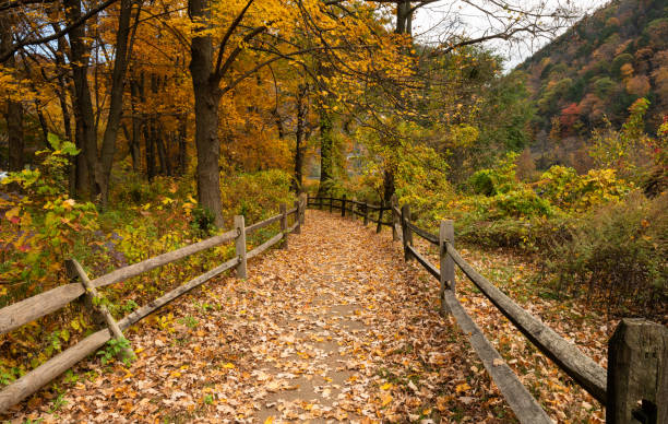 istock Autumn at Delaware Water Gap 1767440057