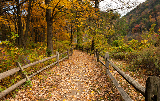 Beautiful autumn scenery at Delaware Water Gap, New Jersey featuring path through the park and mountains on the background