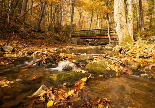 istock Autumn at Delaware Water Gap 1767440060