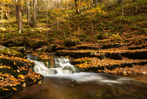 Peaceful autumn scene featuring small waterfall and fallen leaves at Delaware Water Gap, New Jersey