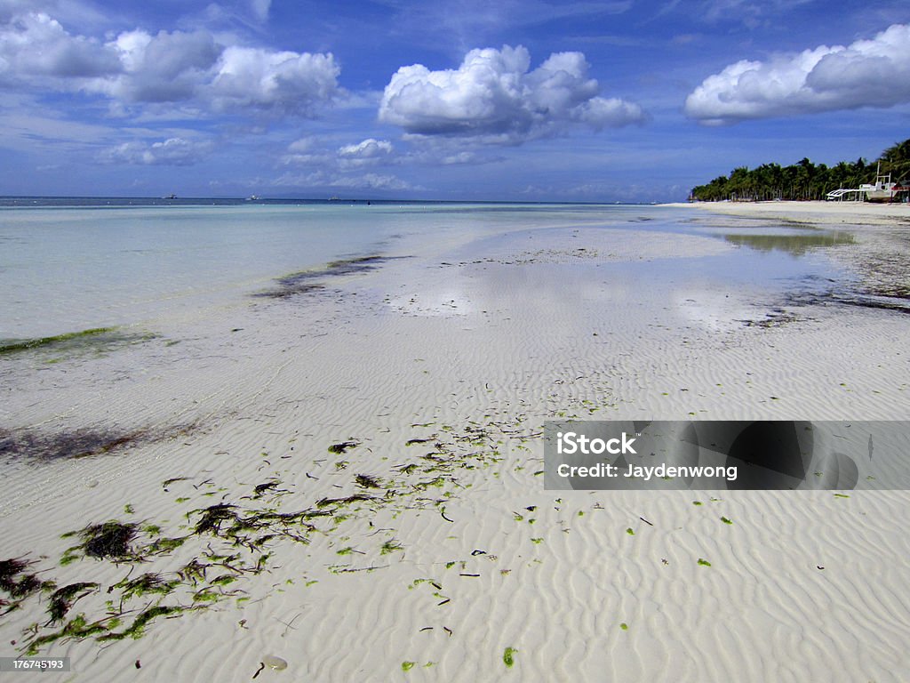 Bohol sol paisagem de praia - Foto de stock de Alga marinha royalty-free