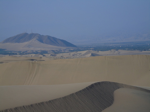 desert landscape with dunes and dollar bush (Tetraena stapfii),  near Swakopmund, Namibia