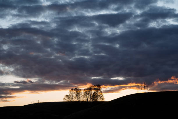 Free Stock Photo of A pink sky with clouds and trees | Download Free ...