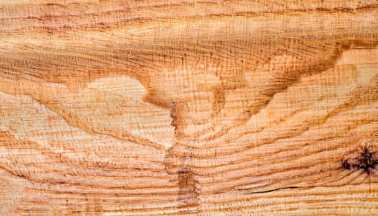 The texture of the poplar wood plank. Photo close-up
