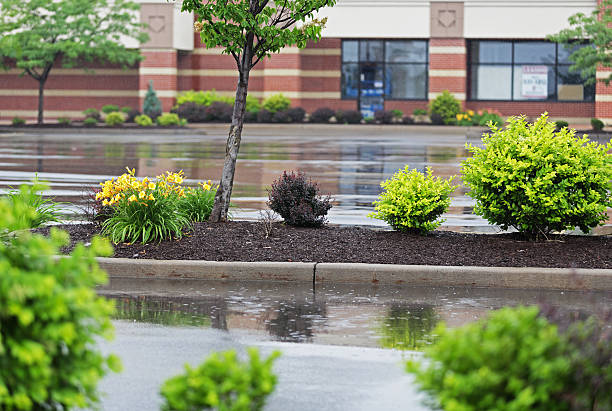 Heavy Rain On Empty Shopping Mall Parking Lot