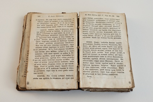 Old book of Julius Casear's notes