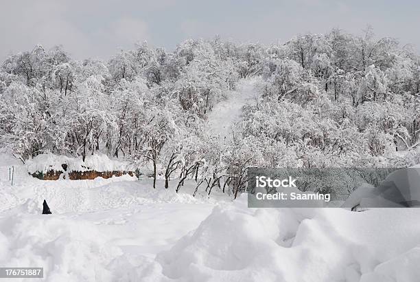 Foto de Winter Neve e mais fotos de stock de Aventura - Aventura, Beleza natural - Natureza, Cena de tranquilidade