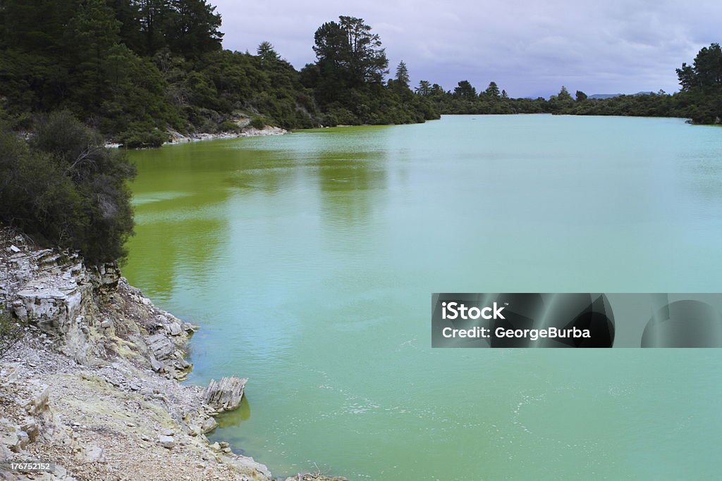 Lake Ngakoro Beautiful natural green colors of the lake Ngakoro, Rotorua, North Island, New Zealand Awe Stock Photo