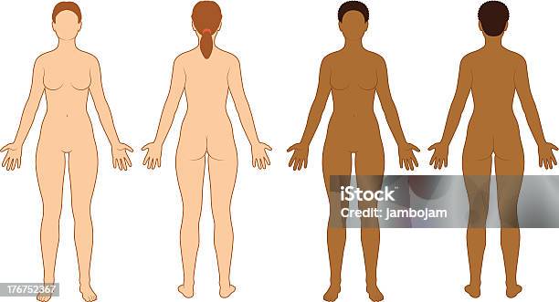 Weibliche Körper Kontur Stock Vektor Art und mehr Bilder von Kreideumriss - Kreideumriss, Weibliche Person, Menschlicher Körper