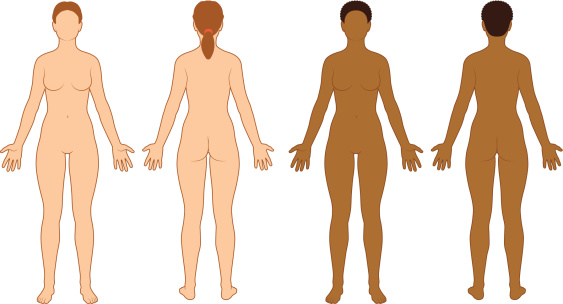 Vector file of fit Caucasian and African American Female body outline front and back.