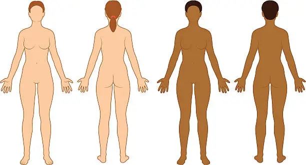 Vector illustration of Female Body Outline