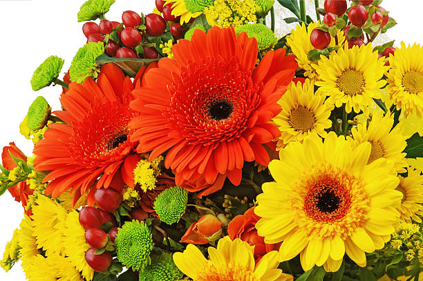 istock Colorful bouquet from gerbera flowers isolated on white backgrou 176753864