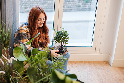 Red-haired woman taking care of her house plants with the pruning shears. Concept: Vegetation, plants, gardening