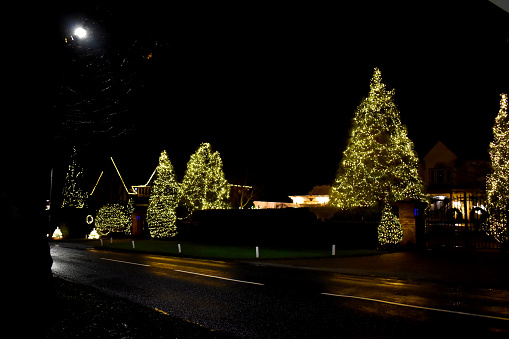 Night lights on the road, Decorate Christmas lights on the trees during the Christmas holiday.