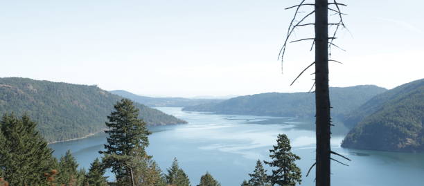 View looking east to Saanich Inlet and the dense forest of Gowland Tod Provincial Park. Summer day with a clear sky.