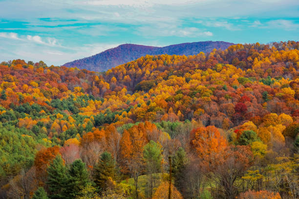 istock Fall colors in the Appalachian Mountains 1767552867