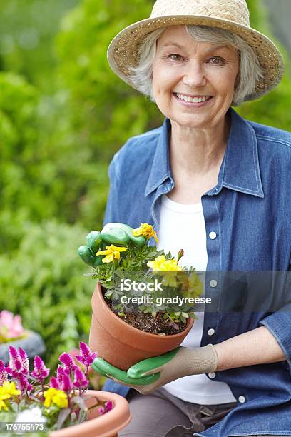 完璧な鉢植えの花 - 女性のストックフォトや画像を多数ご用意 - 女性, 春, 植える