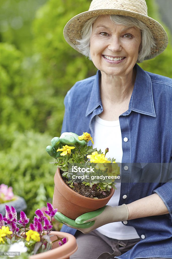 Perfectly potted flowers A lovely senior woman showing you her blooming flowers while gardening outdoors Planting Stock Photo