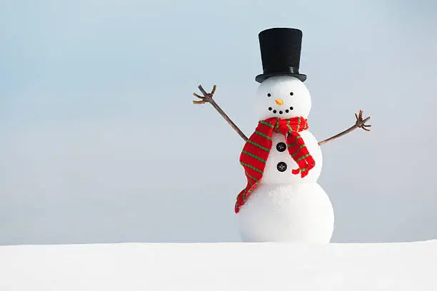 Subject: Portrait of a winter Christmas snowman.