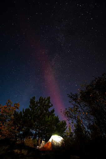STEVE is an unusual feature of the Northern Lights, often purple or red in color