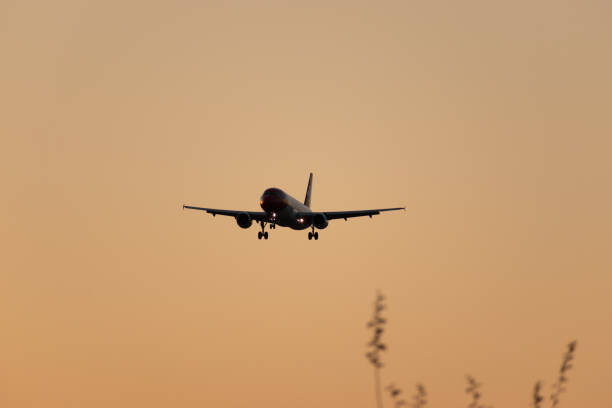 kuvapankkikuvat ja rojaltivapaat kuvat aiheesta hb-ijw edelweiss air airbus a320-214 -suihkukone zürichissä sveitsissä - airbus a320 214