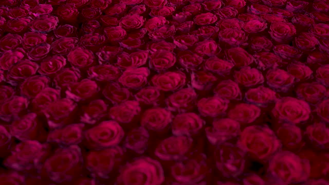 red rose bouquet, valentine's day, wedding decoration, love emotion,