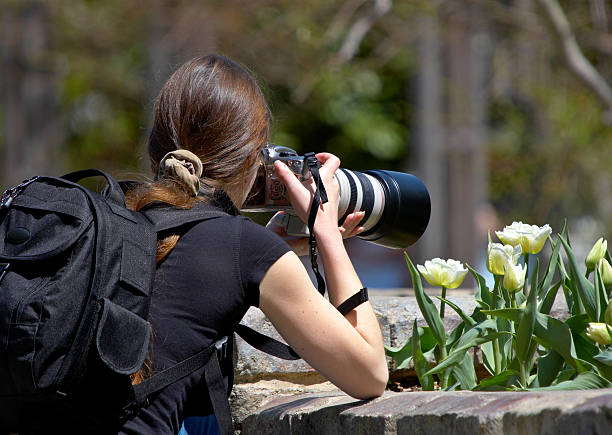 To take a picture of flowers