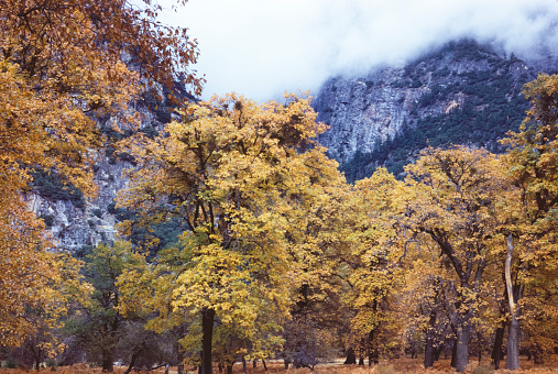 Autumn view of El Yosemite Valley at the base of Capitan.\n\nTaken in Yosemite National Park, California, USA.