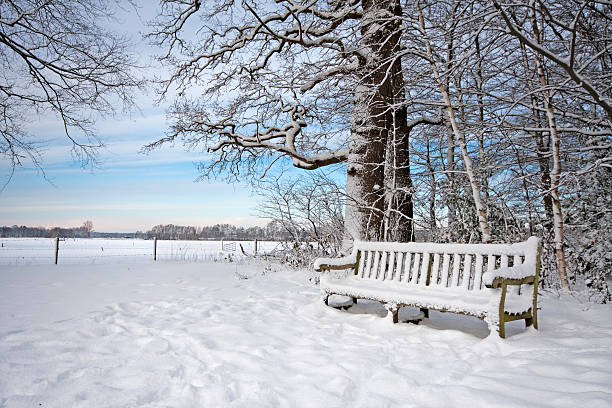 istock Wooden park bench in the snow 176760343